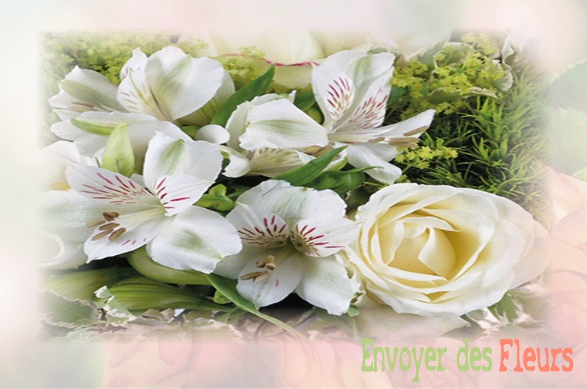 envoyer des fleurs à à AIRON-SAINT-VAAST